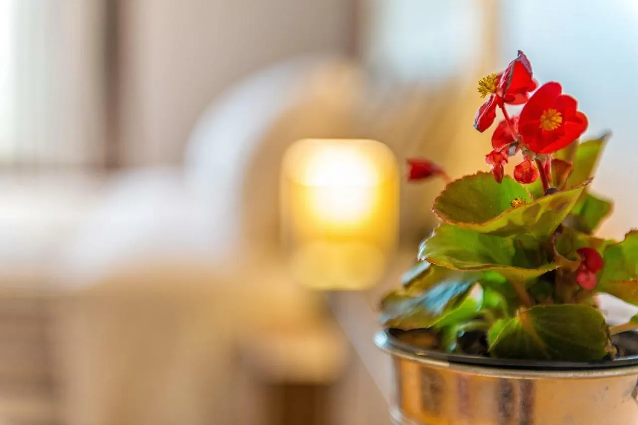 Georgalas Sun Beach Rooms Nea Kallikrateia Bed & Breakfast